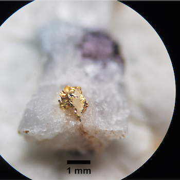 Examples of visible gold taken from outcrop, Buckingham Property, Virginia USA. See Aston Bay March 4, 2019 press release.