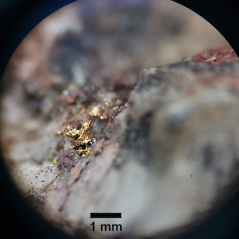 Examples of visible gold taken from outcrop, Buckingham Property, Virginia USA. See Aston Bay March 4, 2019 press release.